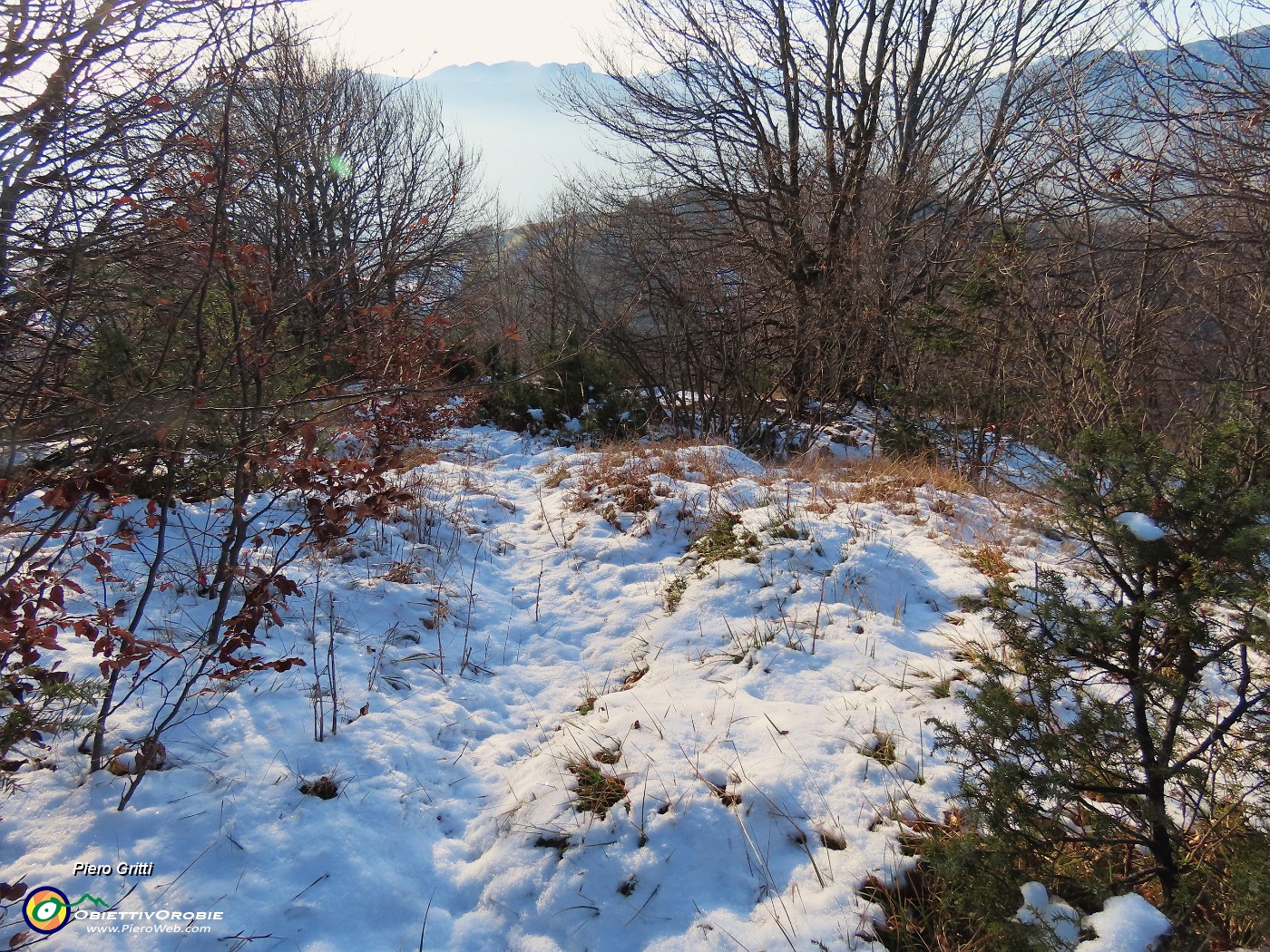 52 La traccia scende su dossi boscosi-erbosi anche innevati...JPG